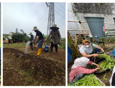 [Profil] Tani Bestari: Pengalaman Belajar Pertanian Alami di Lahan Tidur Kota Bandung