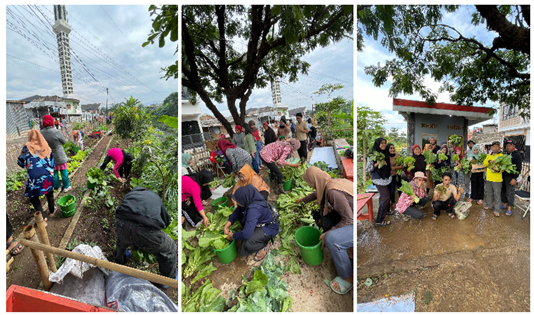 [Jalan-jalan] Pemanfaatan Lahan Tidur Perkotaan Menjadi Kebun Komunal Bersama Warga