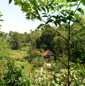 masalah-kita-1