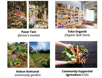 [Pikir] Mengenal Jejaring Pangan Alternatif (AFN): Apa Makna “Alternatif” di Tengah Sistem Pangan Hari Ini?